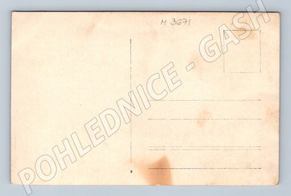 Pohlednice děti u plotu ČSR do 1950 (M3671)