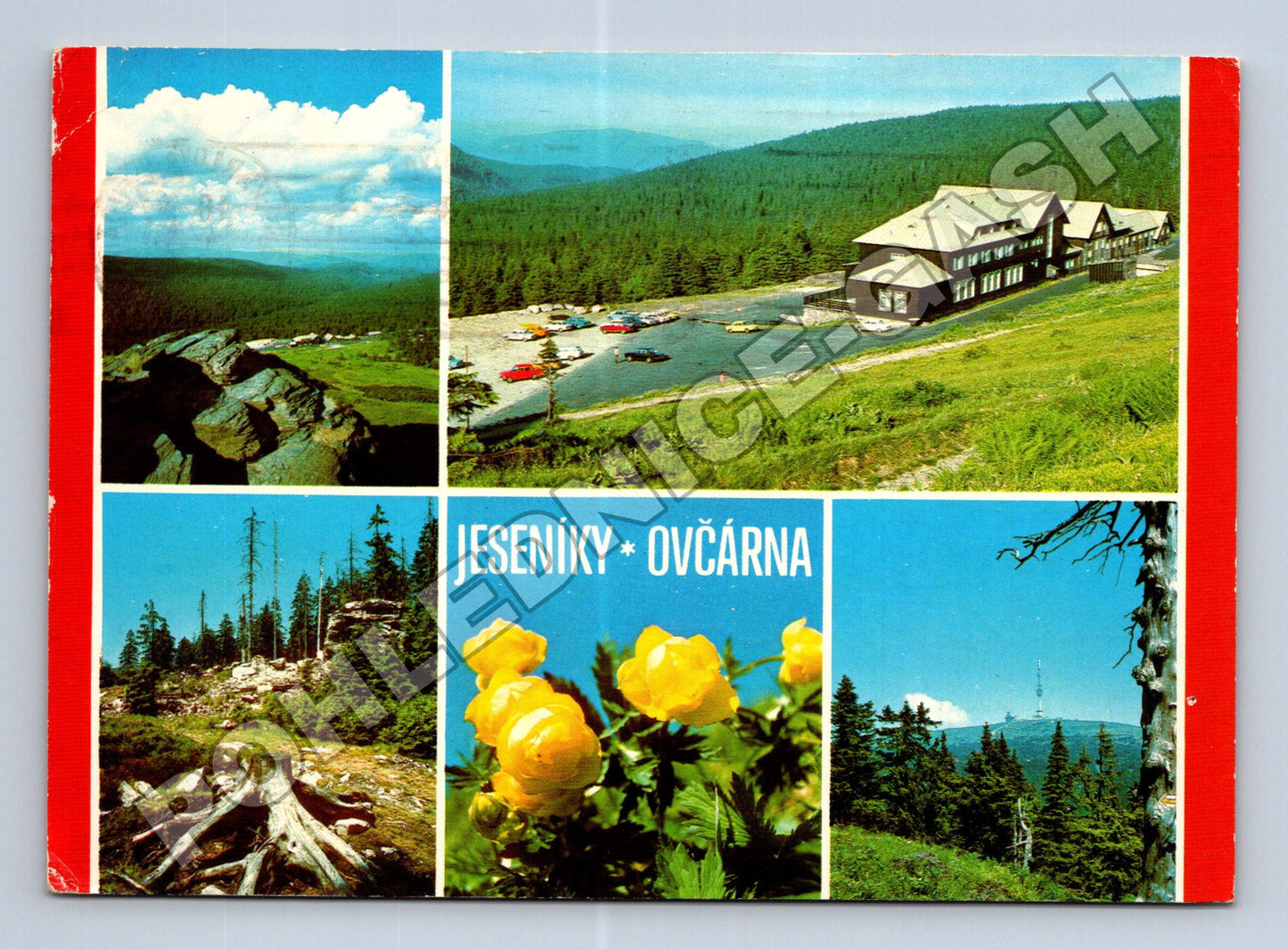 Pohlednice Jeseníky Ovčárna panoramata 1981 (M36763)