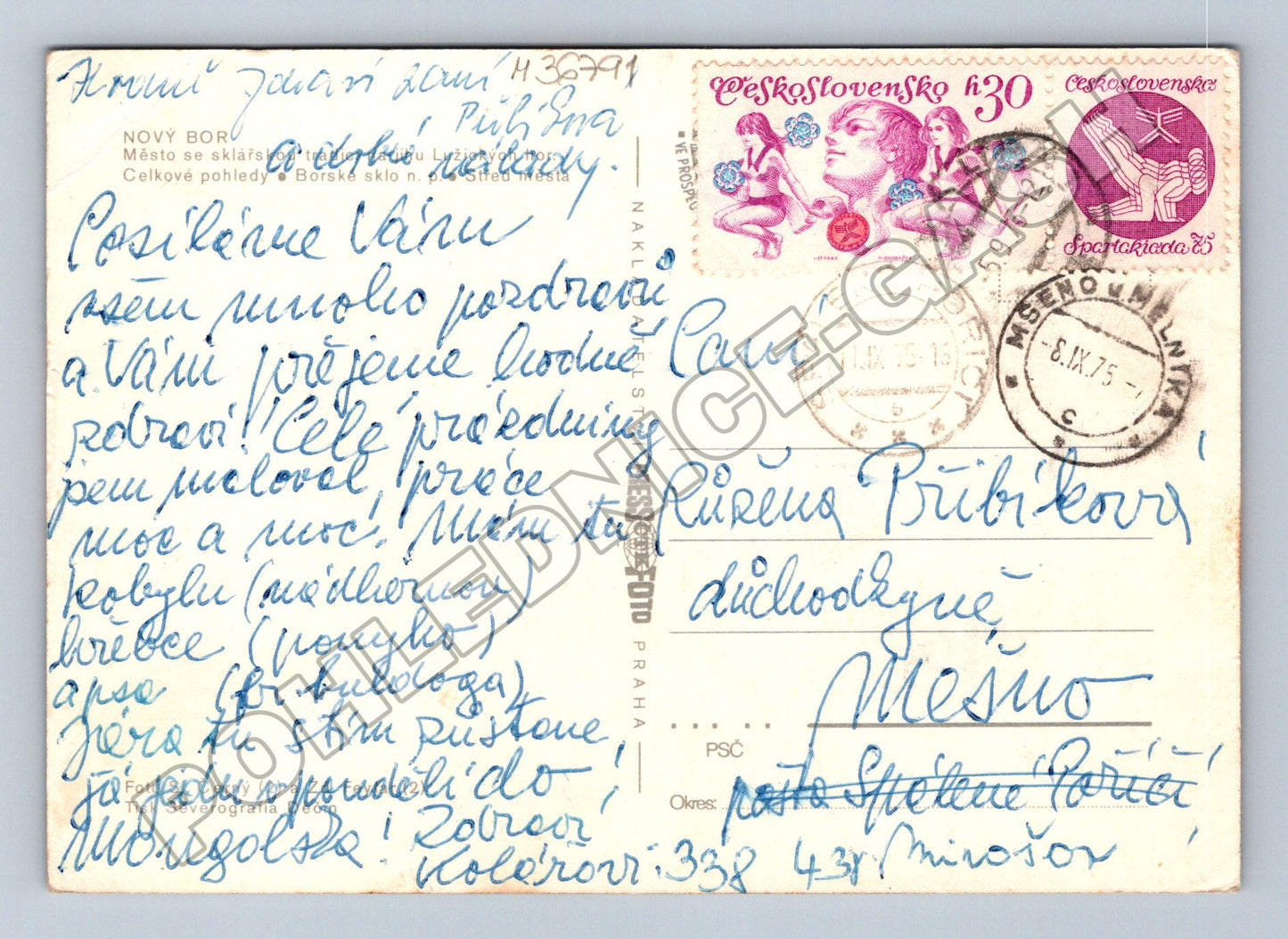 Pohlednice Nový Bor městské scény 1975 (M36791)