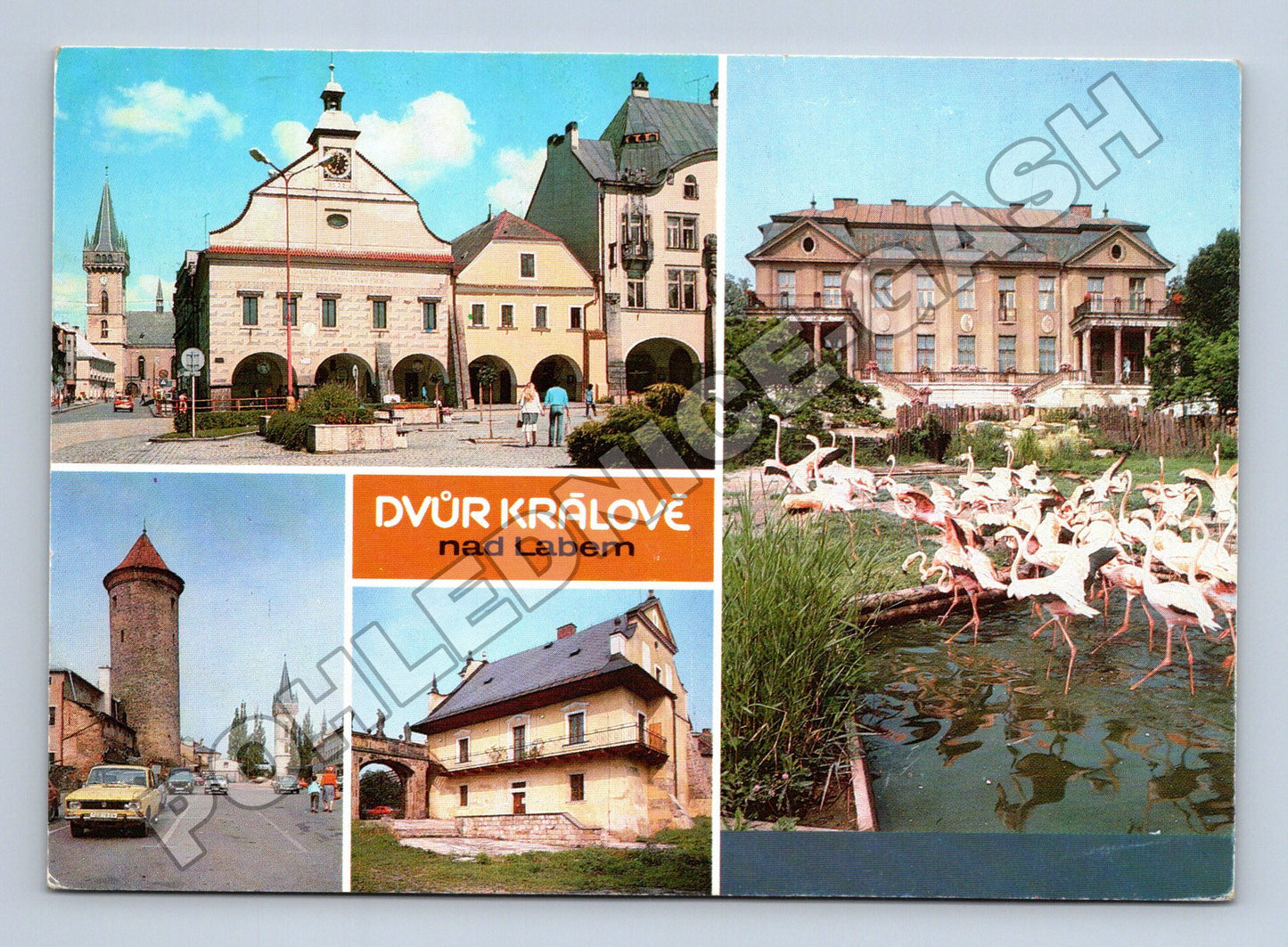 Pohlednice Dvůr Králové nad Labem koláž pohledů 1991 (M36831)