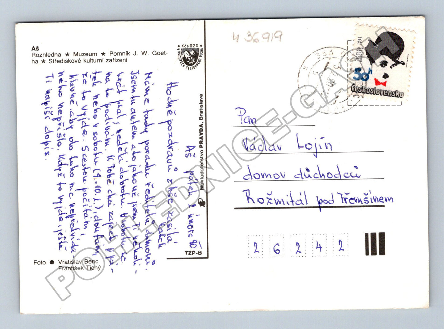 Pohlednice Aš rozhledna a domy 1950 (M36919)