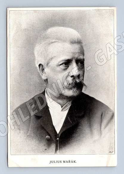 Pohlednice Julius Mařák portrét (M3693)