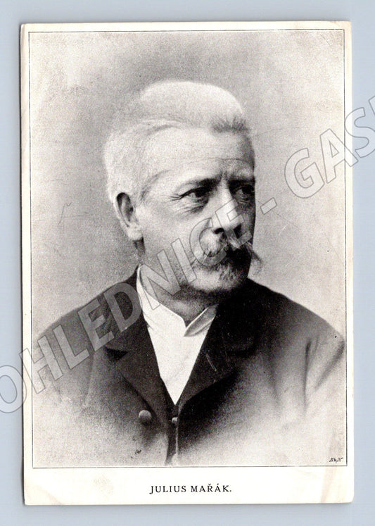 Pohlednice Julius Mařák portrét (M3693)