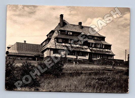 Pohlednice Orlické Hory Chata na Šerlichu 1950s (M36992)