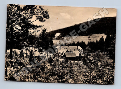 Pohlednice Orlické Hory Šerlišský mlýn hotel 1949 (M36993)