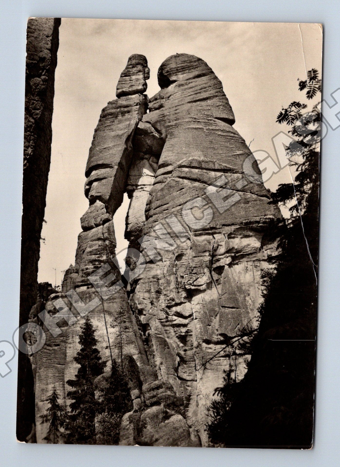 Pohlednice Adršpašské skály Dvojčata 195X (M36998)
