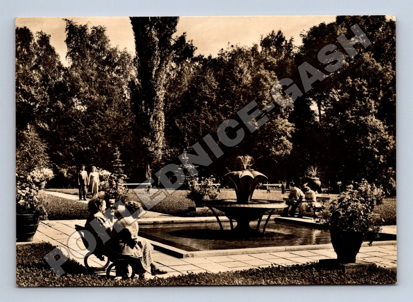 Pohlednice Poděbrady Lázeňský park fontána 1969 (M37011)
