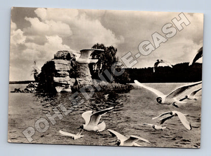 Pohlednice Máchovo jezero Ostrůvek Myšlín rackové 1958 (M37015)