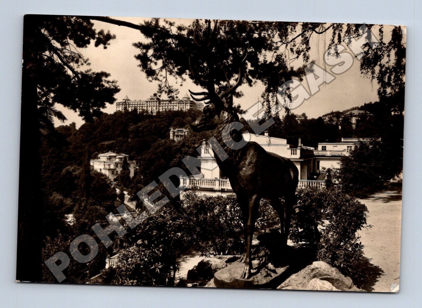 Pohlednice Karlovy Vary lázně Richmond jelen 1958 (M37032)