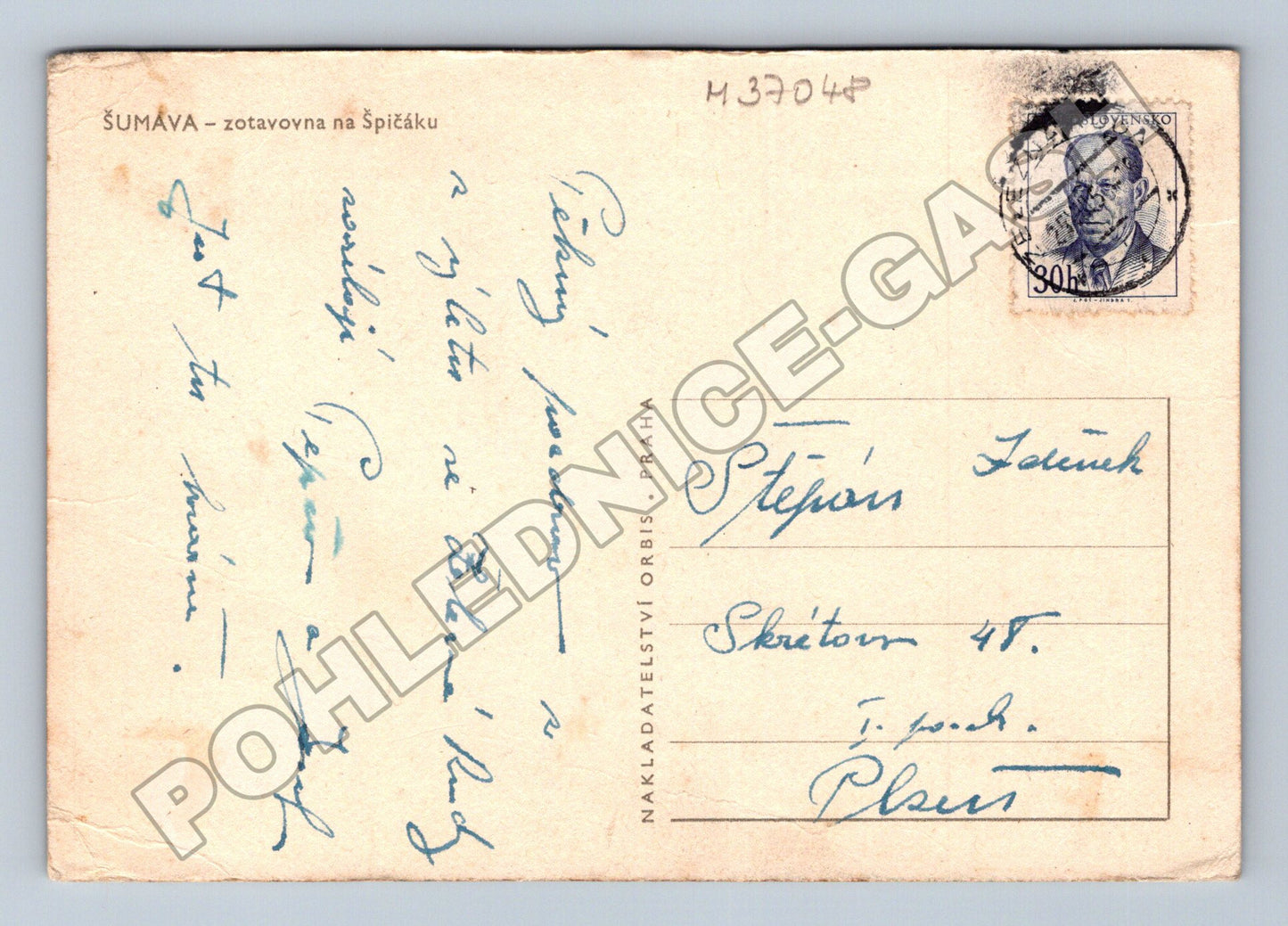 Pohlednice Šumava zotavovna na Špičáku 1950s (M37048)
