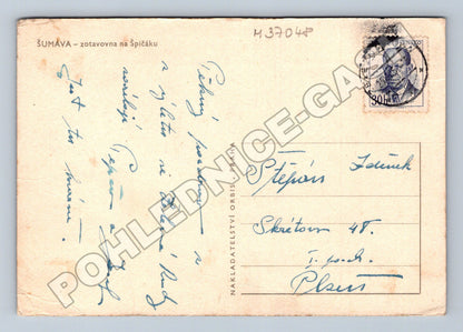 Pohlednice Šumava zotavovna na Špičáku 1950s (M37048)
