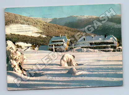 Pohlednice Československo horská zimní krajina 1965 (M37065)