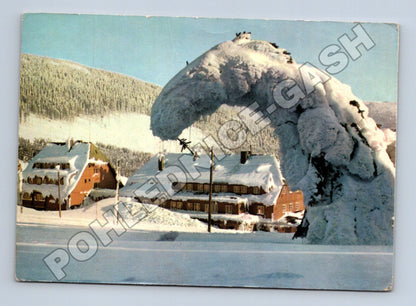 Pohlednice zasněžené horské chaty Vánoce 1965 (M37074)