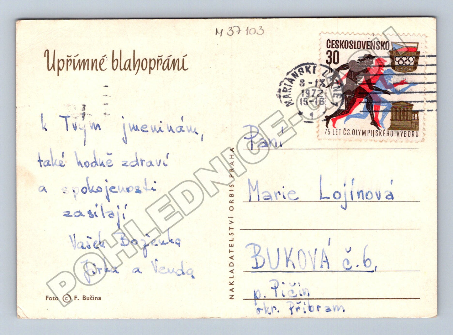 Pohlednice květiny v kovovém košíku 1972 (M37103)