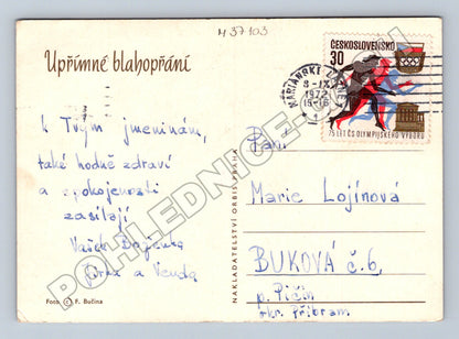 Pohlednice květiny v kovovém košíku 1972 (M37103)
