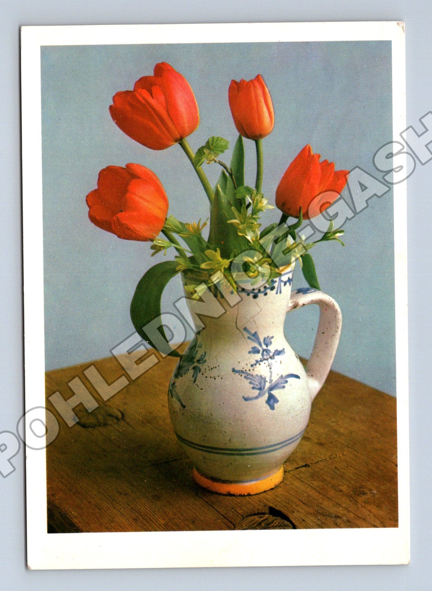 Pohlednice Květiny tulipány váza 1960s (M37106)