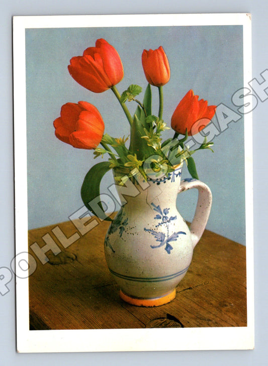 Pohlednice Květiny tulipány váza 1960s (M37106)
