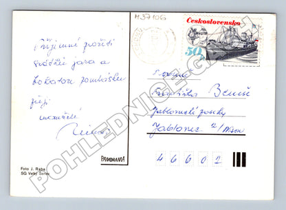 Pohlednice Květiny tulipány váza 1960s (M37106)