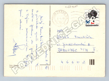 Pohlednice Květina žlutá růže 1990 (M37108)