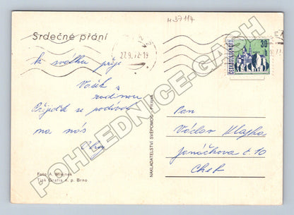 Pohlednice Kytice růží 1972 (M37114)