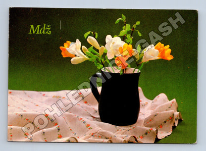 Pohlednice Kytice frézií ve džbánu 1981 (M37120)