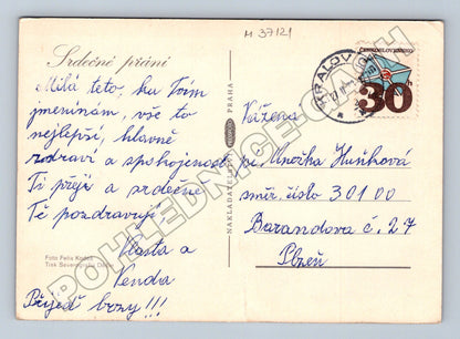 Pohlednice květiny zátiší 1973 (M37121)