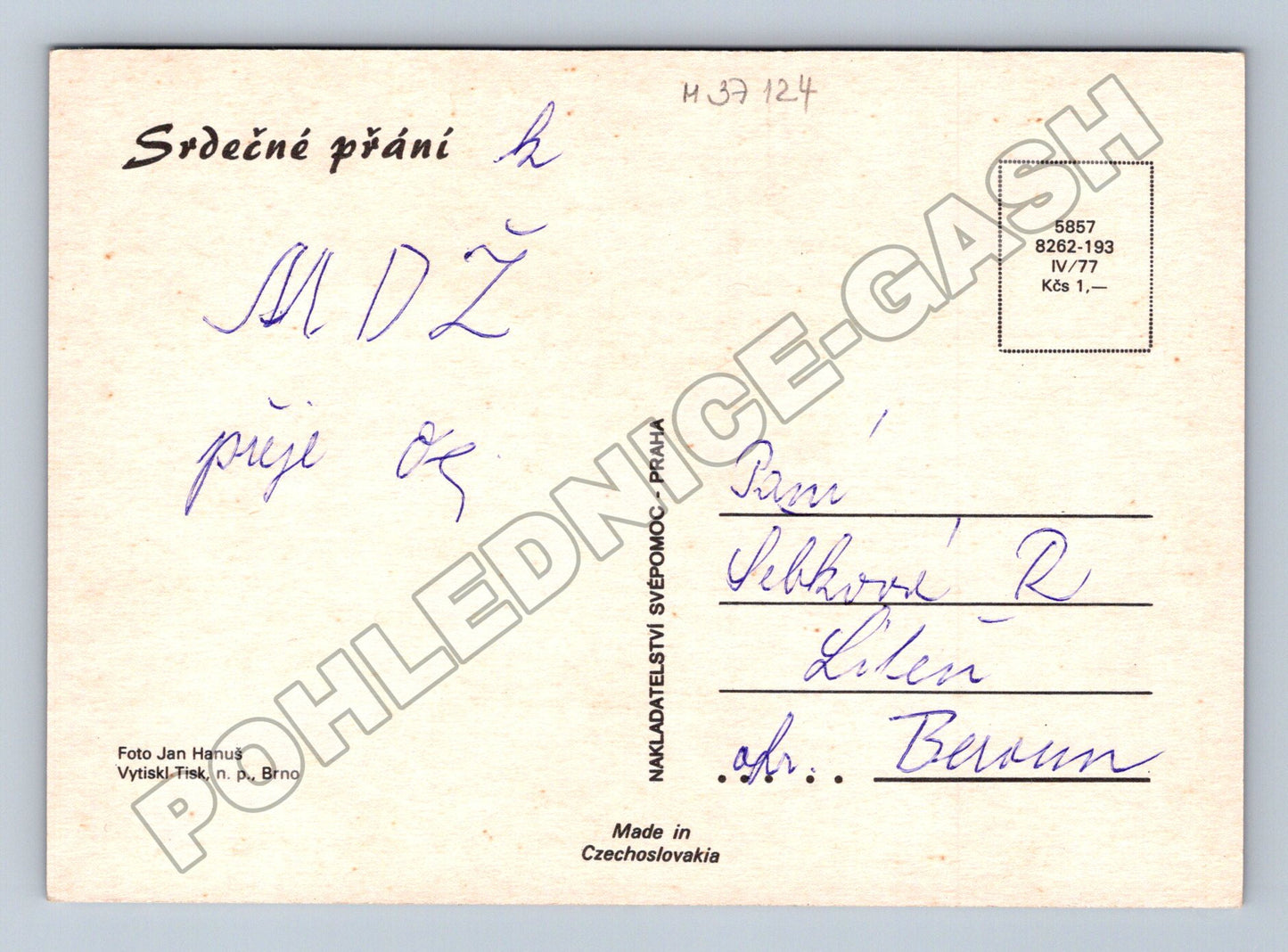Pohlednice kytice gerber 1977 (M37124)