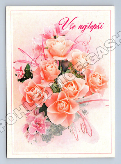 Pohlednice Vše nejlepší růže 1999 (M37129)