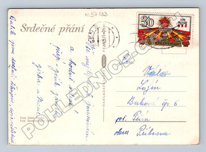 Pohlednice Květiny Astry 1941 (M37133)