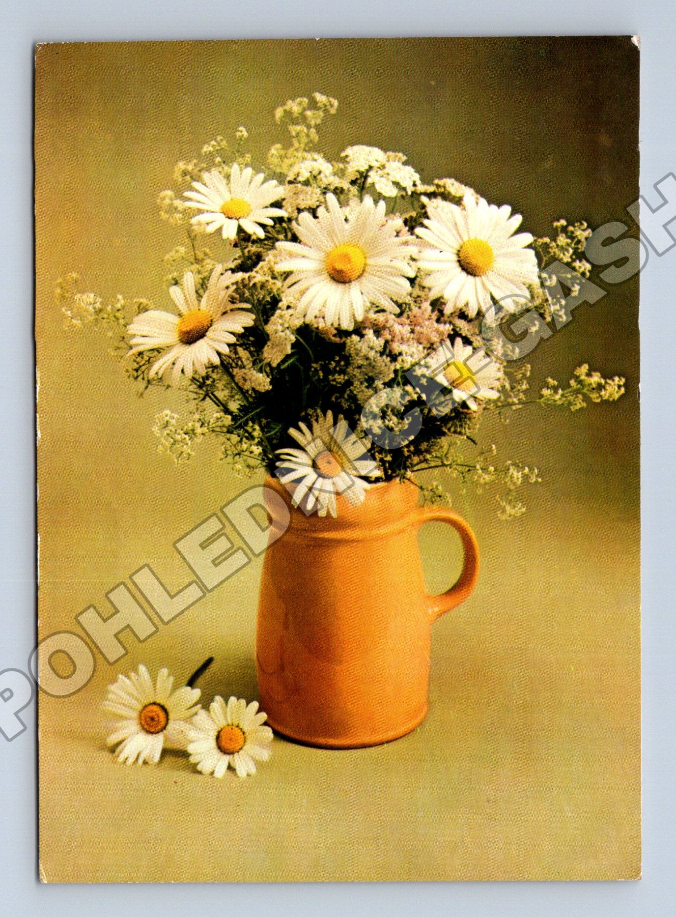 Pohlednice Kytice sedmikrásek v džbánu 1968 (M37135)