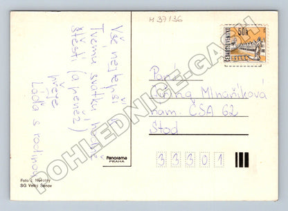 Pohlednice Květiny karafiáty 197x (M37136)