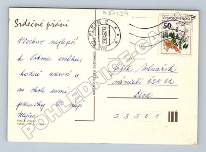 Pohlednice květina Srdečné přání 1982 (M37139)