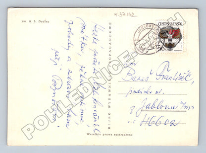 Pohlednice Květinové zátiší 1961 (M37142)