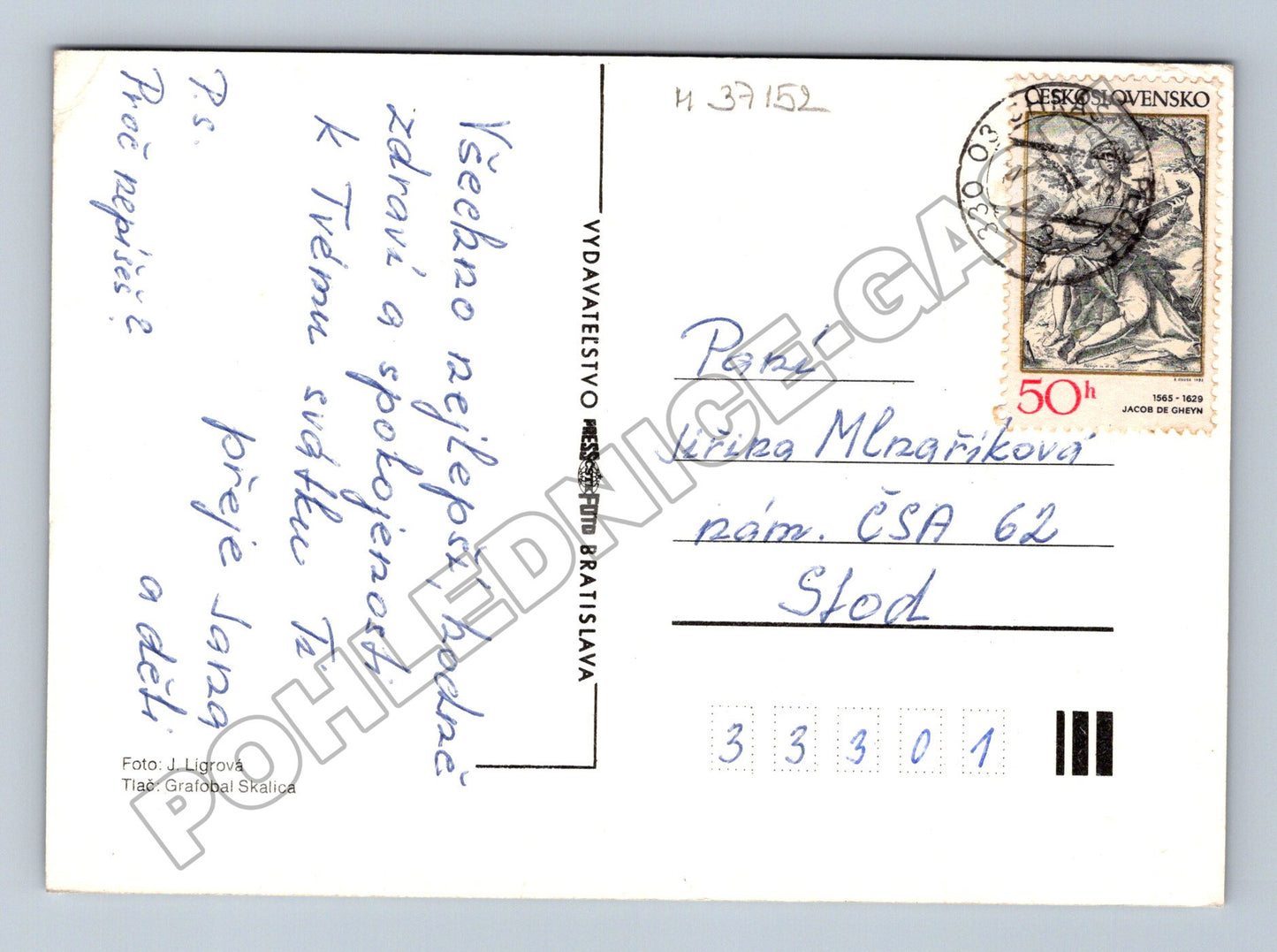 Pohlednice Růže květiny cca 1970 (M37152)