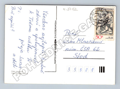 Pohlednice Růže květiny cca 1970 (M37152)