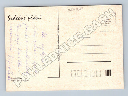 Pohlednice Kytice květin zátiší 1981 (M37158)