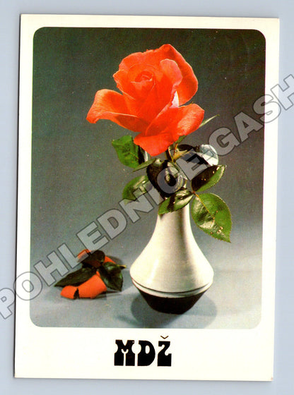 Pohlednice zátiší s růží MÓDA 1972 (M37167)