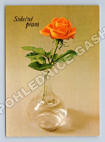 Pohlednice růže Srdečné přání 1988 (M37169)
