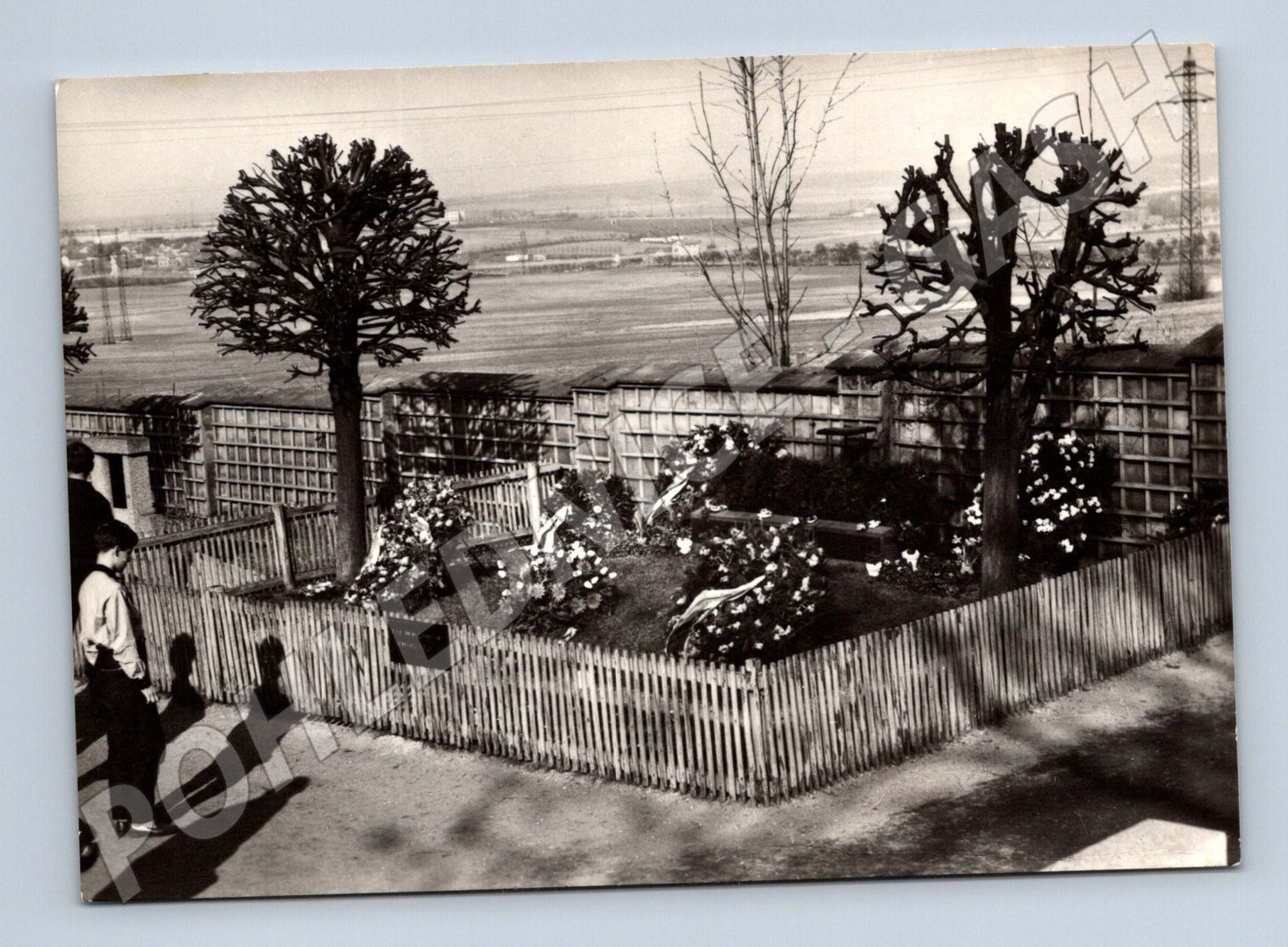 Pohlednice hrob T G Masaryka Lány (M3717)