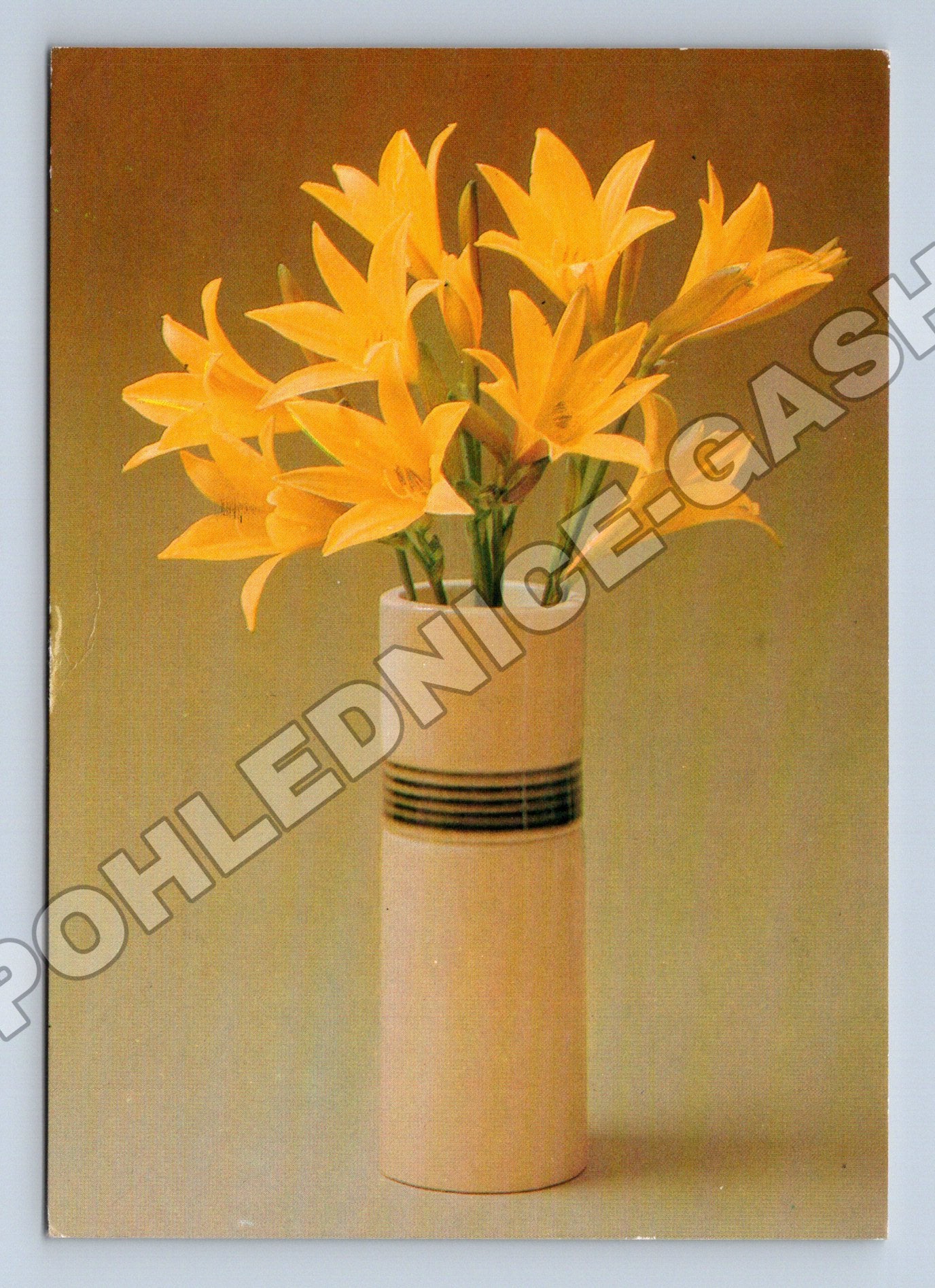 Pohlednice Květiny žluté lilie váza 1983 (M37174)
