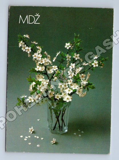 Pohlednice Československo květy ve váze 1985 (M37175)