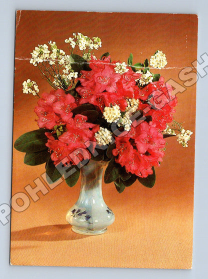 Pohlednice Německo rudé rododendrony váza (M37178)