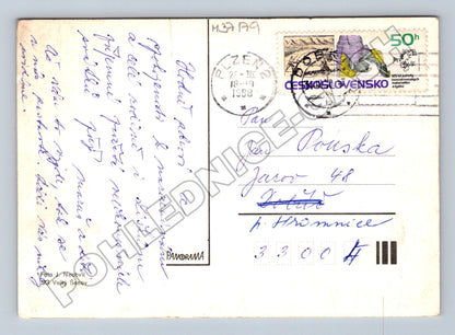 Pohlednice Kytice narcisů 1998 (M37179)