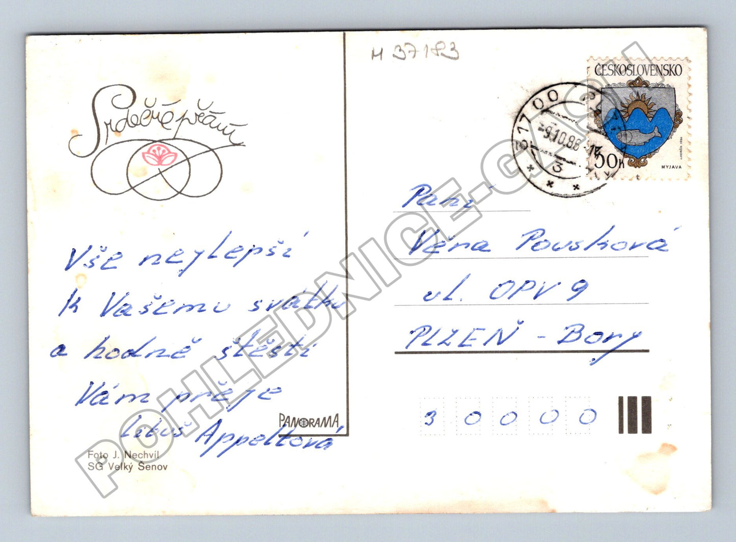 Pohlednice Kytice narcisů 1986 (M37183)