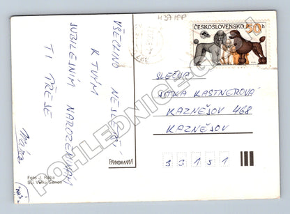 Pohlednice Kytice růží ve váze (M37188)