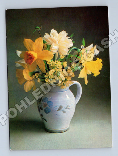 Pohlednice Květiny Narcisy ve džbánu 198x (M37190)