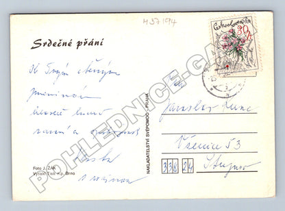 Pohlednice Květiny Srdečné přání (M37194)