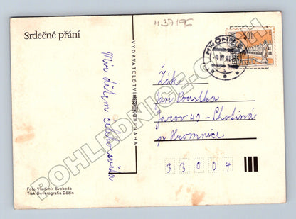 Pohlednice oranžové tulipány (M37196)
