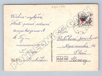 Pohlednice Kytice žlutých růží (M37197)