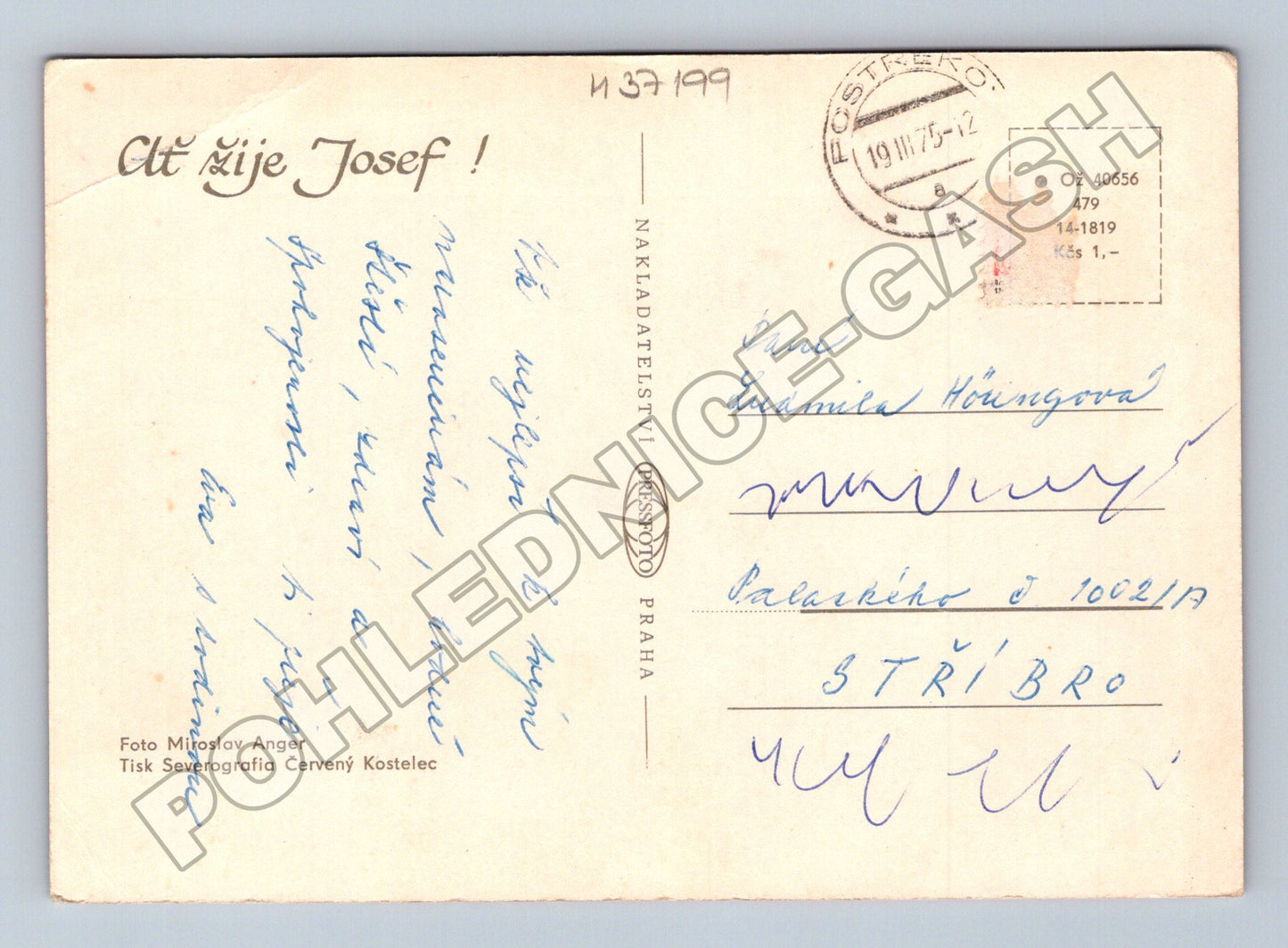 Pohlednice blahopřání karafiáty kalendář 1975 (M37199)